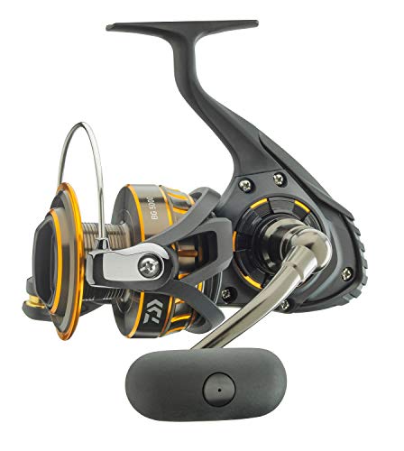 Daiwa BG4000 BG Saltwater Spinning Reel, 4000, 5.7: 1 Gear Ratio, 6+1 Bearings, 39.90" Retrieve Rate, 17.60 lb Max Drag, black/gold