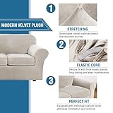 H.VERSAILTEX Rich Velvet Stretch 2 Piece Chair Cover Chair Slipcover Sofa Cover Furniture Protector Couch Soft with Elastic Bottom Chair Couch Cover with Arms Width Up to 49 Inch(Chair, Oatmeal)