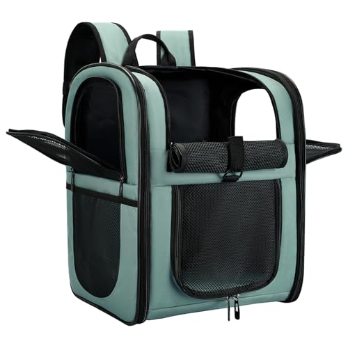 Apollo Walker Dog & Cat Carrier Backpack for Medium/Small Pets - Ventilated Safe Design with Padded Back Support, Breathable Mesh Pet Backpack for Hiking, Travel, Outdoor (Blue)
