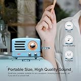 Muzen Portable Bluetooth Speaker, OTR Metal Retro Small Wireless Speaker, FM Radio with Antenna AUX, 10h+ Long Playtime, High Fidelity Stereo Audio with Suitcase, Room Office Decor, Festival Gift