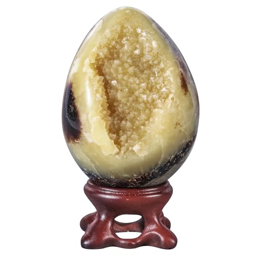 dssmboom Reiki Healing Septarian Dragon Stone Geode Egg Figurine with Resin Stand, Natural Septarian Dragon Crystal Egg for Home Office Decoration, 41-50 MM