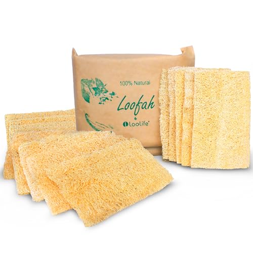 Natural Loofah Kitchen Sponge (XL - 10 Pack) - Natural Sponges for Dishes - Eco Friendly and Compostable Sponges - Plant Based Kitchen Dish Biodegradable Sponge