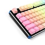 YMDK Rainbow Top Printed Side Printed Blank PBT Dyed Keycaps for OEM Cherry MX Switches Mechanical Keyboard Poker Faceu GH60 (87 Blank)(Only Keycap)