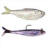 6-Piece Pre-Rigged Jig Head Soft Plastic Fishing Lures - Paddle Tail Swimbaits for Bass Fishing, Shad or Tadpole Lure with Spinner, Premium Fishing Bait for Freshwater Saltwater, Trout Crappie