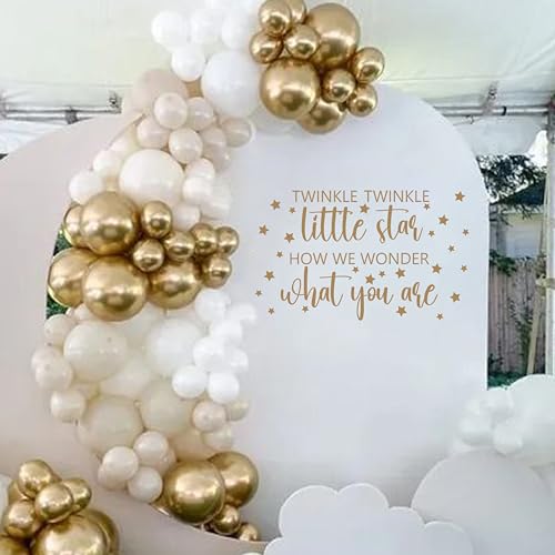 CANTLY Twinkle Twinkle Little Star Gender Reveal Backdrop Sticker,Boy or Girl How We Wonder What You are Party Decorations, He or She Baby Shower Party Supplies (What You are Decal)