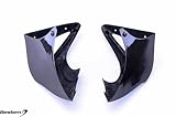 Bestem CBBM-R11S-TSC Carbon Fiber Turn Signal Corners for BMW R1100S