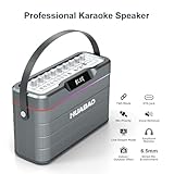 Karaoke Machine - 100W Super Bass Bluetooth Speaker with 2 Wireless Microphones, Portable PA System with LED Lights, Professional Loudspeaker, Supports TWS Pairing, and Bass/Treble/Echo Adjustment