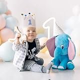 HODIHIWI Muslin Crown Hat First Birthday For Baby Boy Girl Party Decoration 1st Blue Headband