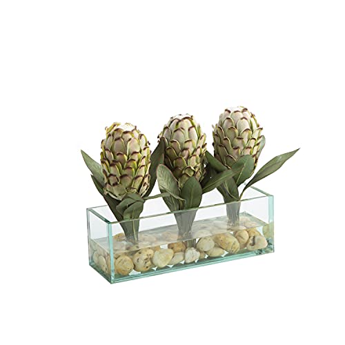 Proteas in Rectangle Aquarium Glass