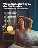 Dekala Sunrise Alarm Clock, Smart Wake Up Light, APP Control, Sunrise Sunset Simulation, Sleep Sound Machine, Dual Alarms, FM Radio, Natural Sounds, for Heavy Sleepers Adults, Ideal Gift