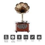 LuguLake Record Player Retro Turntable All in One Vintage Phonograph Nostalgic Gramophone for LP with Copper Horn, Built-in Speaker 3.5mm Aux-in/USB