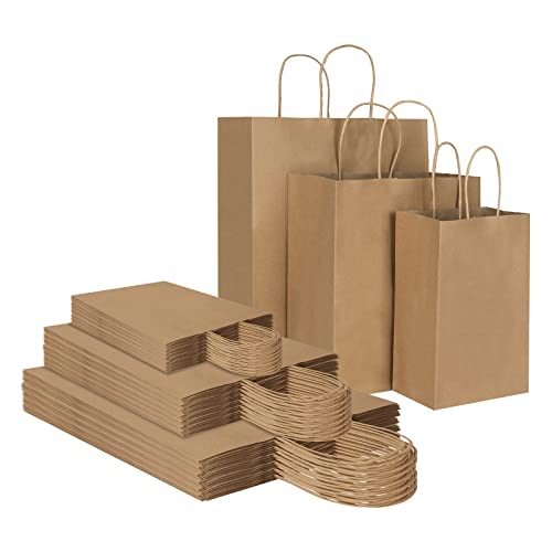 Toovip 90 Pack Plain Brown Kraft Paper Bags with Handles Bulk, Multiple 3 Assorted Sizes Gift Bags for Favors Grocery Retail Party Birthday Shopping Business Goody Craft Merchandise Take Out Sacks
