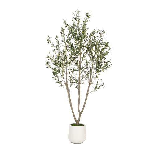 VIVATREES Olive Trees Artificial Indoor, 6FT Tall Faux Olive Tree with White Tall Planter, Artificial Plants with Natural Wood Trunk and Lifelike Fruits for Home Office Decor