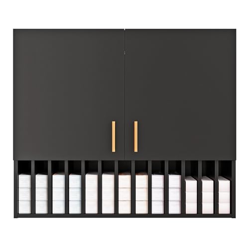 Hair Color Organizer Rack, Salon Hair Color Tube Storage Cabinet with Adjustable Shelves, Wall Mounted Salon Barber Station for Barbershop Beauty Spa, Black