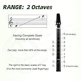 HiXing Simple sax,Mini Saxophone, Pocket Sax for C Key,Adult students and beginner professional performance