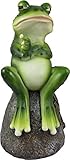 DWK - Froggie's Bad Day - Adorable Indoor Outdoor Flip Off Frog on Stone Rock with Hop Off Message Middle Finger Figurine Grumpy Toad Home Decor Accent Garden Patio Accessory, 7.75-inch…