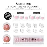 BTArtboxnails XCOATTIPS Toe Nail Tips - Short French Tip Press On Toenails, 160Pcs Pink Soft Gel Toe Nail Tips, Soak Off Fake Toe Nail Extensions