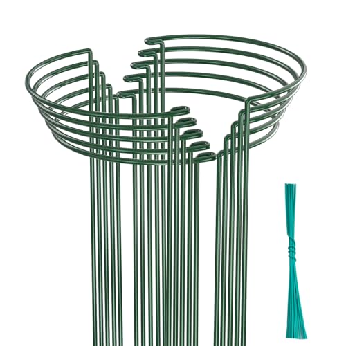 Behidiruch 10 Pack Plant Support Stakes, 4 mm Thick 24 Inch Half Round Metal Garden Stakes, Plant Support Cages Ring for Peony Tomato Hydrangea Rose Flower Indoor Outdoor (10" Wide x 24" High)