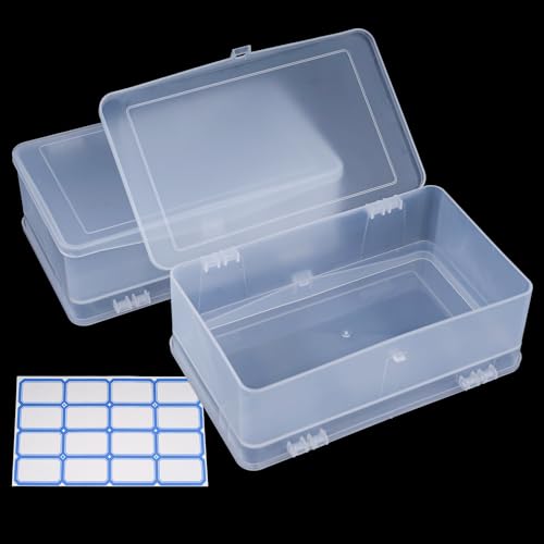 Lokyango Plastic Storage Personal Box for Nail, 2 Pack Double-Layer Nail Implement Storage Box Organizer Case Manicure Tool Box for Nail Pedicure Supply Tools (C-clear-2pcs)