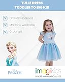 Disney Frozen Elsa Princess Anna Toddler Girls Tulle Dress Blue Ombre 4T