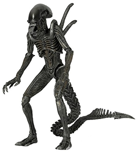 NECA Aliens Series 7 AvP Warrior Action Figure (7" Scale)