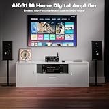 Facmogu AK-3116 HiFi Digital Amplifier, Bluetooth 5.3 200W Dual TPA3116 2 Channel 2x100W Class D Stereo Receiver w/RCA, USB, Optical, FM, Mini Amp Audio System for Home, Outdoor, w/ 24V Power Supply