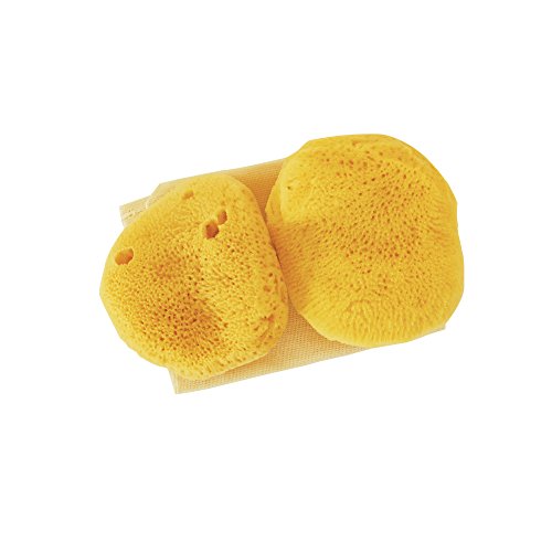 Sea Pearls- Premium Ultra Soft Reusable Sea Sponges- Large 2-Pack