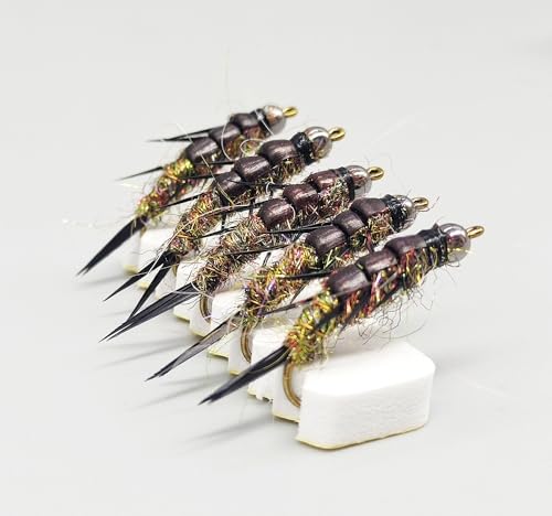 KTGCOZS Pack of 10 Nymph stonefly Fly Flies Trout Fishing Artificial Insect Fishing Bait Lure