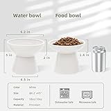 CEEFU 2 Extra Wide Raised Cat Food Bowl, Elevated Cat Bowls Anti-Vomiting Cat Feeder Whisker Stress-Free, Two Different Depth Bowls Ceramic Cat Dog Feeding Bowls, White