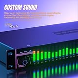 Digital Equalizer, 31-Band Dual Channel Synchronized Control Audio Equalizer, DSP Stereo Graphic Equalizer, 1U Rack Mount Spectrum Analyzer, Noise Reduction, LED Screen (EQ231)