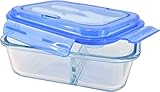 PAMEX - Airtight Borosilicate Glass Lunch Box with Cutlery 970 ml