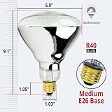 BULBMASTER 250 Watt Heat lamp Bulb for Bathroom R40 Incandescent Shower Heat Lamp Clear Infrared Bath Light 250R40 Chicken Light Bulb E26 Base 2 Pack