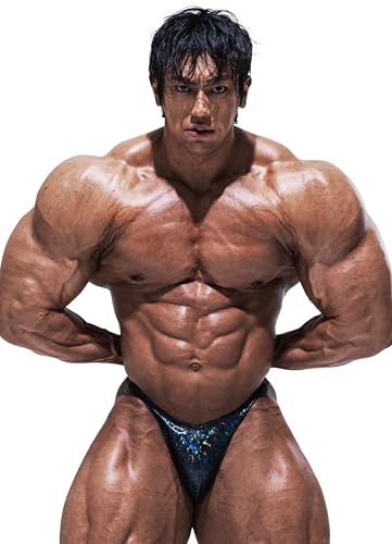 FIED Bodybuilding Posing Trunks – Handmade in Korea, Competition-Ready - HOLOGRAM Titanium Black (US, Alpha, Large, Regular, Regular, TITANIUM-BLACK)