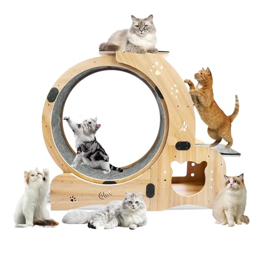 Cat Wheel 6-in-1 Upgraded Exercise Wheel for Indoor Cats: Large Treadmill with Silent Running Wheel, Perfect Cat Furniture & Toy for Endless Fun & Fitness