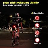 Padonow Smart Bike Tail Light: Auto On/Off Flashing Lights Red Back Led Warning Flashlight Easy Mount Cycling Safety Brake Taillight USB Rechargeable Ultra Bright Light Sensing Bicycle Rear Light