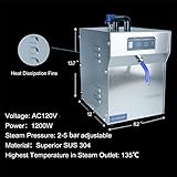 TDRFORCE Jewelry Steam Cleaner Machine Professional High Pressure Jewelry Cleaning Steamer Pro Jewelry Cleaners Best Jewelry Cleaner with Foot Pedal Control Fix & Nozzle Hose 2L Auto Water Supply