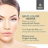 Parallel Products Henna Color Kit - Professional Hair Tint and Root Touch Up - 3 Gram Mini-Collection for Grey Coverage