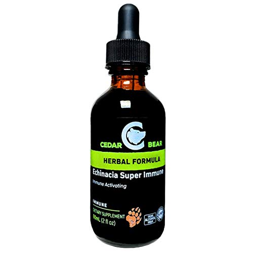 Cedar Bear Echinacea Super Immune Blend a Liquid Herbal Supplement That Boosts Your Immune System to Help Maintain White Blood Cell Activity and Other Immune Functions 2 FL Oz