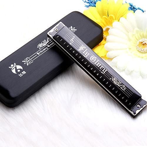 Best Harmonica C Key 24 Holes Major Diatonic Double Tremolo Beginner Harmonicas for Sale Musical Instrument Accessories Black with Case