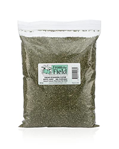 from The Field | Fine Ground Stalkless Catnip | Premium USA-Grown Catnip for Toys & Playtime | Fresh, Potent, Non-Toxic, Eco-Friendly | Safe for Kittens & Cats | Resealable 10 Oz Bag