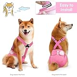 Idepet Female Dog Diapers with Suspender Detachable, 3 Pack Washable Reusable Girl Doggie Diapers for Small Medium Female Dog in Heat Period Cycle Urinary Incontinence Training M