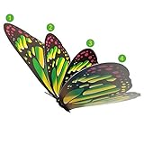 12PCS Giant Butterfly Wall Stickers Decor,3D Large Butterflies Wall Magnetism Decals Removable DIY Home Art Decorations for Birthday Party Christmas Wedding Kids Room Bedroom