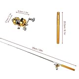 Jatzde Mini Portable Telescopic Pen Fish Rod Combo- Pocket Fishing Pole+ Aluminum Alloy Reel + Fishing Line+ Soft Lures