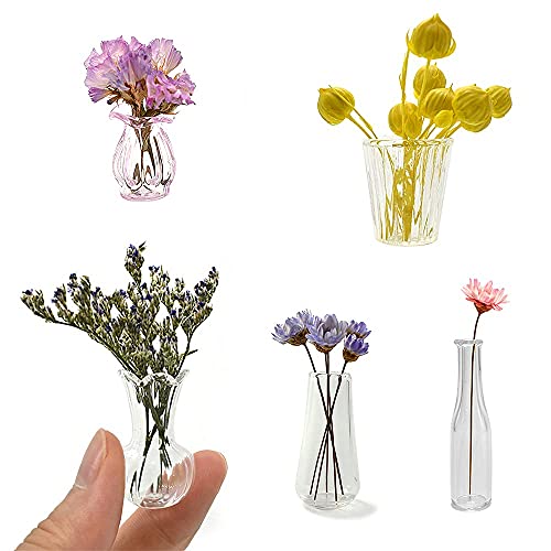 iLAND Miniature Dollhouse Accessories for Dollhouse Furniture, Glass Vases w/Dried Flowers Set (Pretty 5pcs)