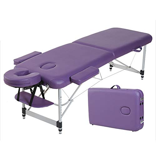 Folding Massage Bed, Beauty Bed Physiotherapy Scraping Household Portable Tattoo Bed with Aluminum Bed Foot Massage Table