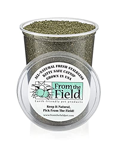 from The Field | Fine Ground Stalkless Catnip | Premium USA-Grown Catnip for Toys & Playtime | Fresh, Potent, Non-Toxic, Eco-Friendly | Safe for Kittens & Cats | Resealable 6 oz Tub