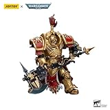 JOYTOY 1/18 Action Figure Warhammer 40,000 Adeptus Custodes Allarus Custodian with Castellan Axe 5.5 inch Collectible Action Figures Kits