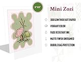 MINI ZOZI Danish Pastel Posters 8x10 9pcs Aesthetic Room Decor Green And Pink Wall Art Prints Collage Cute Coquette Trendy Preppy Coconut Girl Y2k Kawaii Indie Retro Pictures Butterfly Heart Cherry