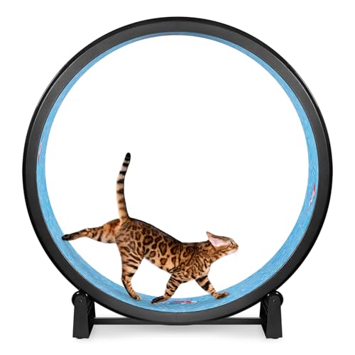 One Fast Cat - Cat Exercise Wheel - Gen. 7 - Safe 48" Diameter - Made in The USA - Black Wheel with Koi Pond Foam Traction Pads and Solid Black Inline Wheels