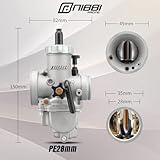 NIBBI PE28mm Carburetor,Motor Carburetor with Carb Jets Fit 200cc—250cc Motorcycle Engine for ATV Dirt Bike Mini Bike Go Kart Apollo Scooter Moped